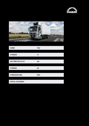 Fahrgestell MAN TGM 13.290 4x4