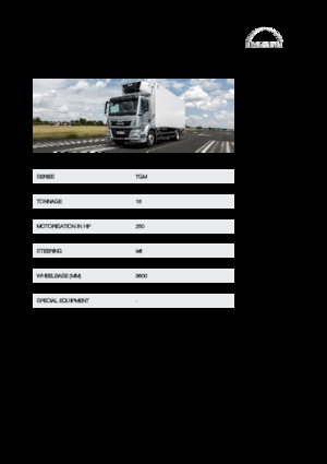 Fahrgestell MAN TGM 18.250 4x4