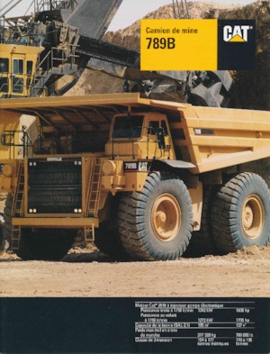 Muldenkipper-SKW Caterpillar 789B
