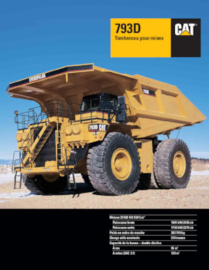 Muldenkipper-SKW Caterpillar 793D