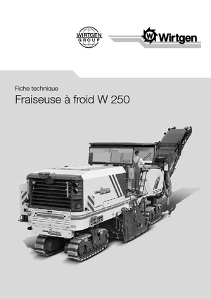 Straßenfräsen Wirtgen W 250