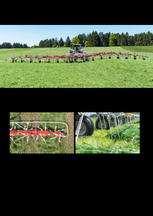 Rotorzettwender Pöttinger AlpinHit 4.4 H 