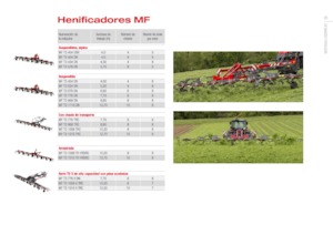 Rotorzettwender Massey Ferguson TD776X DN
