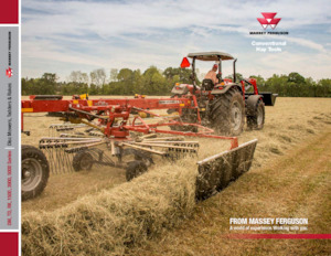 Rotorzettwender Massey Ferguson TD252 TR