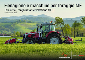 Rotorzettwender Massey Ferguson TD404 DN