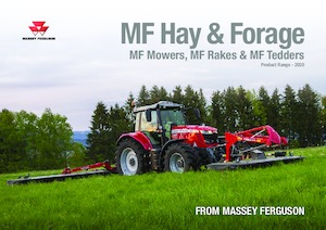 Rotorzettwender Massey Ferguson TD434 DN