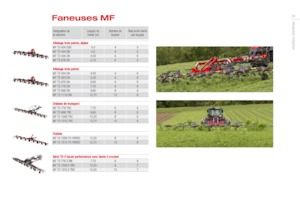 Rotorzettwender Massey Ferguson TD434 DN