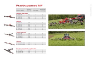 Rotorzettwender Massey Ferguson TD776X DN