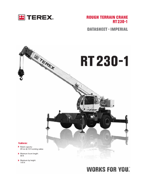 RT-Krane Terex Bendini RT 230-1