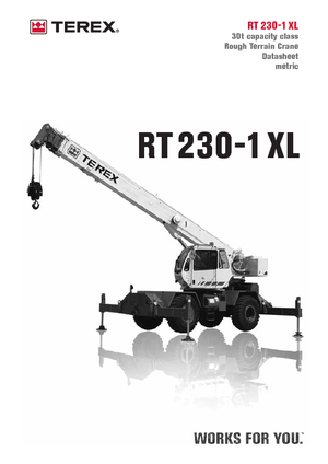 RT-Krane Terex Bendini RT 230-1 XL