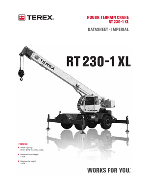 RT-Krane Terex Bendini RT 230-1 XL