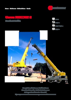 RT-Krane Grove RT9130E-2