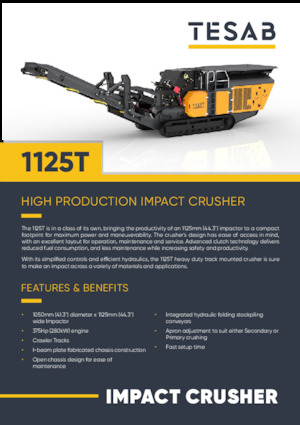 Bauschutt-Recyclinganlagen Tesab 1125T