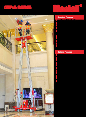 Senkrechtmast-Arbeitsbühnen Mantall CMP14-S