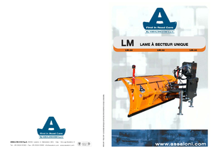 Leicht-Schneepflüge Assaloni LM 32