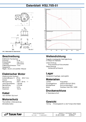 Abwasser-Schlammpumpen Tsurumi-Pumpen HS2.75S