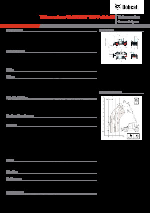 Teleskopen starr Bobcat TL43.80HF 135 V