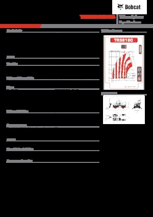 Teleskopen mit Oberwagen Bobcat TR38160EVO IIIB