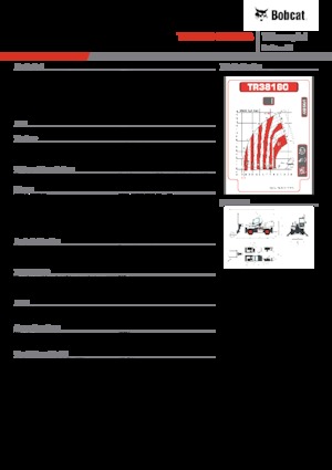 Teleskopen mit Oberwagen Bobcat TR38160EVO IIIB