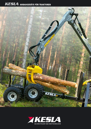 Holzladekrane Kesla 304