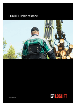Holzladekrane Loglift F 120S