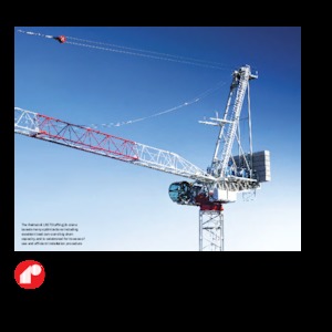 Turmkrane-N-od. Raimondi LR273