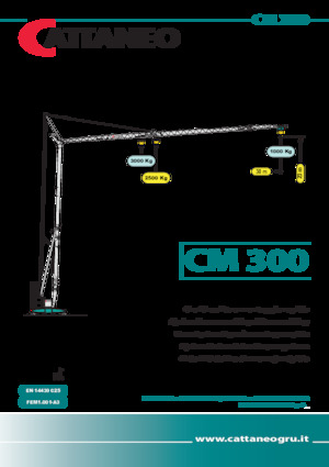 Turmkrane-LK-ud Cattaneo CM 300