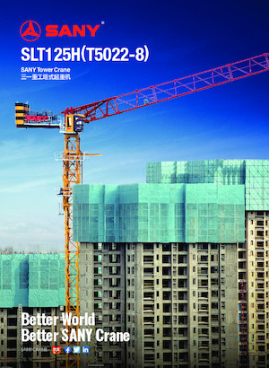 Turmkrane-LK-od Sany SLT125H
