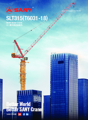 Turmkrane-LK-od Sany SLT315