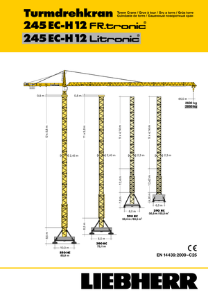 Turmkrane-LK-od Liebherr 245 EC-H 12 Litronic