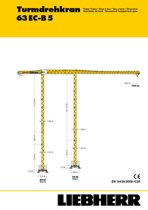 Turmkrane-LK-od Liebherr 63 EC-B 5
