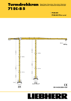 Turmkrane-LK-od Liebherr 71 EC-B