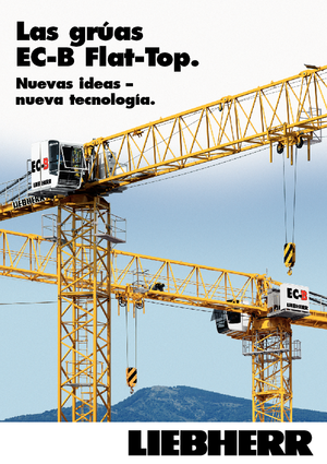 Turmkrane-LK-od Liebherr 250 EC-B 12 Litronic