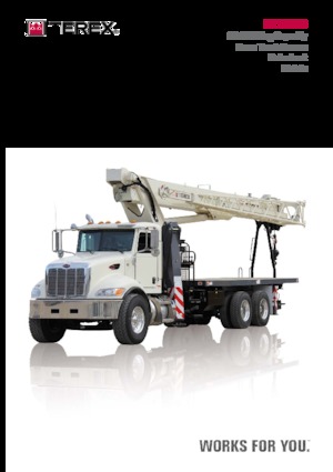 Autokrane TEREX CRANES BT 28106