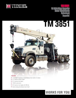 Autokrane TEREX CRANES TM 3851