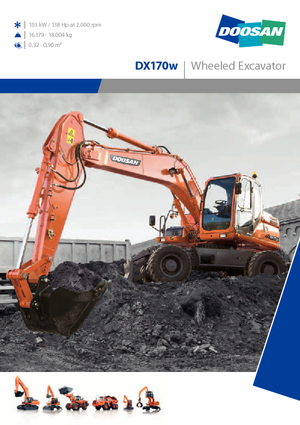 Mobilbagger Doosan DX170W