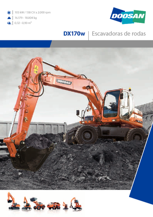 Mobilbagger Doosan DX170W