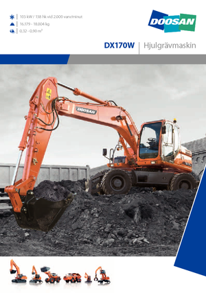Mobilbagger Doosan DX170W