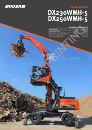 Umschlagmaschinen Doosan DX250WMH-5