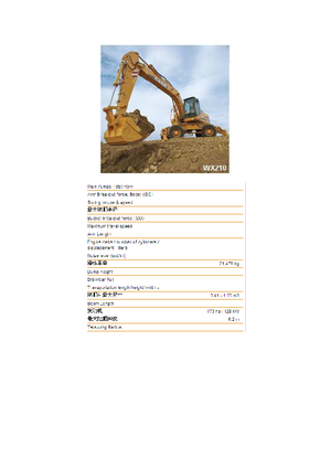 Mobilbagger Case WX 210