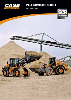 Radlader Case 921 F ZB