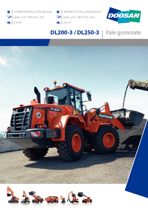 Radlader Doosan DL250-3