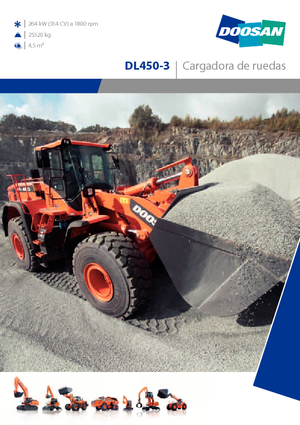 Radlader Doosan DL450-3