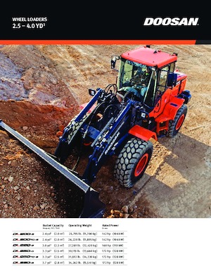 Radlader Doosan DL250TC-5