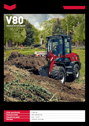 Radlader Yanmar V80