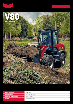Radlader Yanmar V80