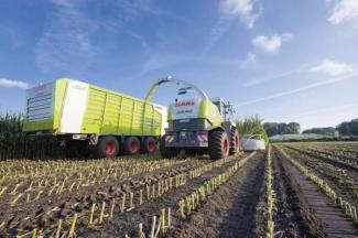 Feldhäcksler 2-WD Claas Jaguar 900