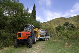 Allrad-Traktoren SAME Frutteto³ S 80 GS DT