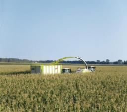 Feldhäcksler 4-WD Claas Jaguar 970