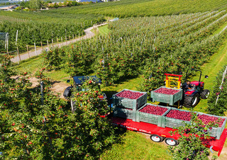 Allrad-Traktoren Valtra F85S